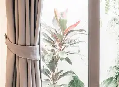 窗口期菲尼克斯太阳调整名单以备足总杯,造点机会环节打磨,信心回归,轮换策略成焦点的简单介绍 窗口期菲尼克斯太阳调整名单以备足总杯,造点机会环节打磨,信心回归,轮换策略成焦点的简单介绍