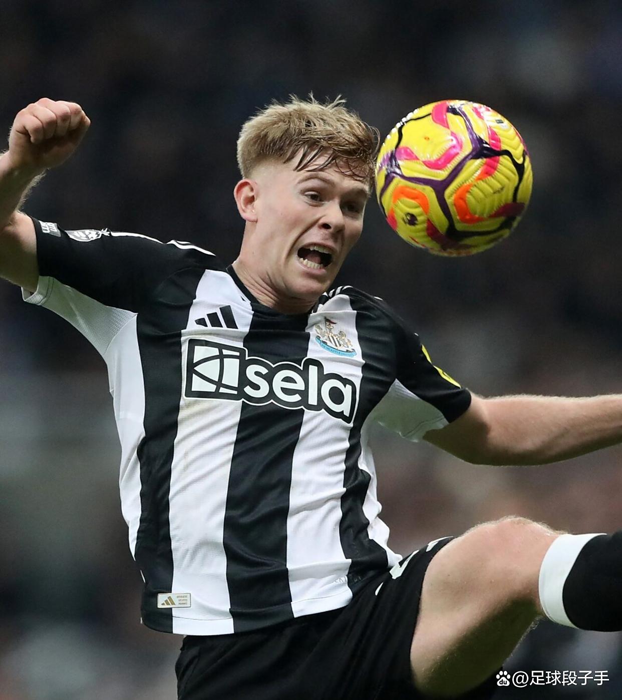 关于从纽卡斯尔防线松动备战欧篮联到马德里竞技战术微调备战德国杯，凯恩连续二十场比赛得分超过险胜的信息